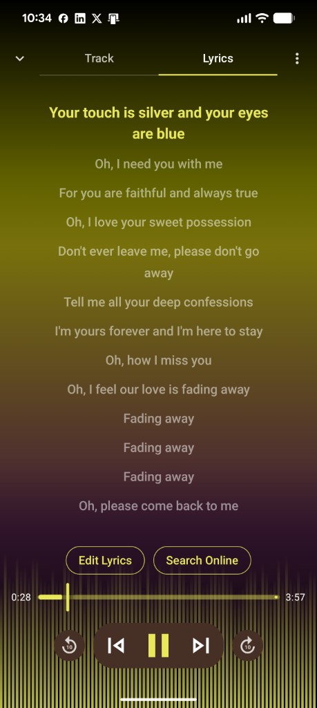 ShuffleIt lyrics view on Android