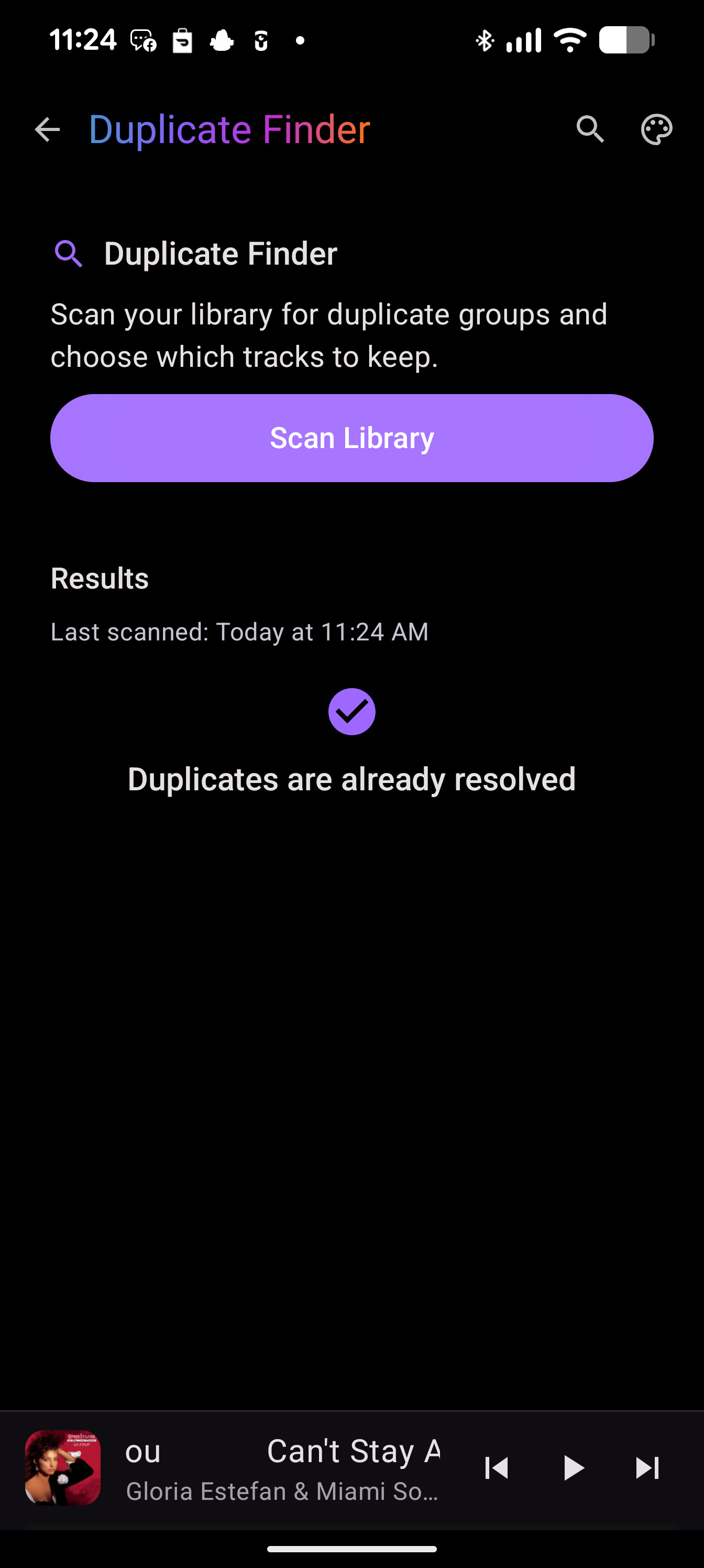 ShuffleIt duplicate finder tool